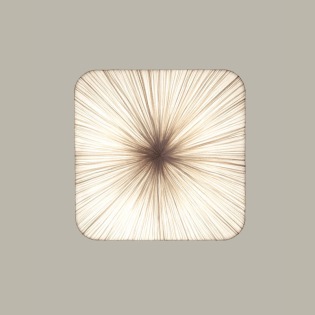 Aqua-Creations MOD Young Wand-/ Deckenleuchte